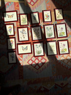 Ensemble de 16 impressions