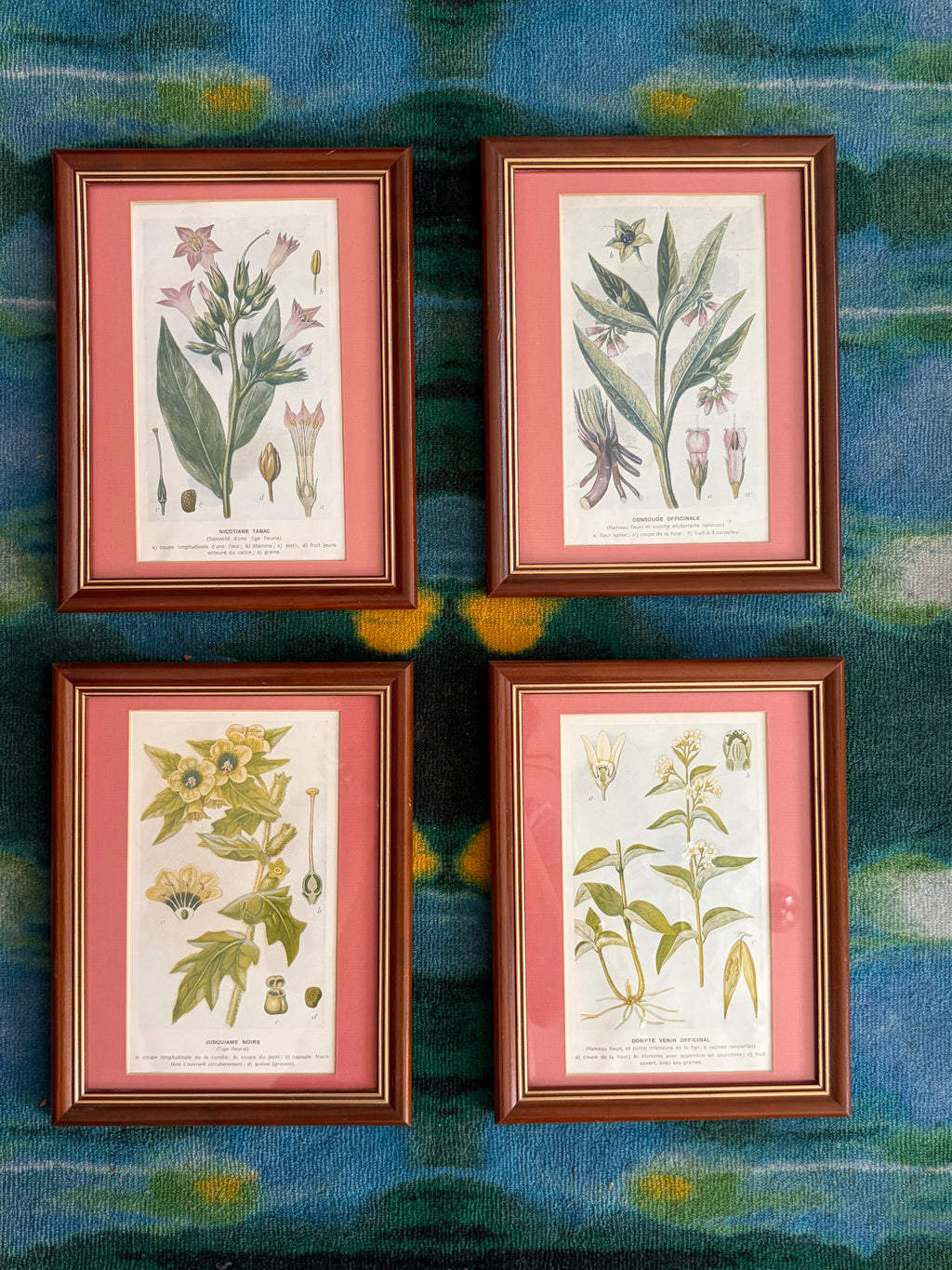Impressions botaniques