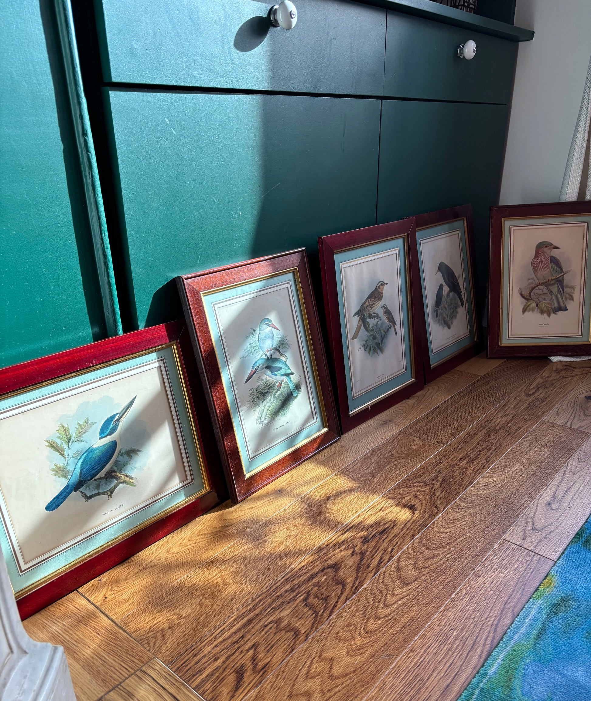 Cinq gravures en couleurs sur le thème des oiseaux