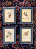 Quatre petites estampes encadrées