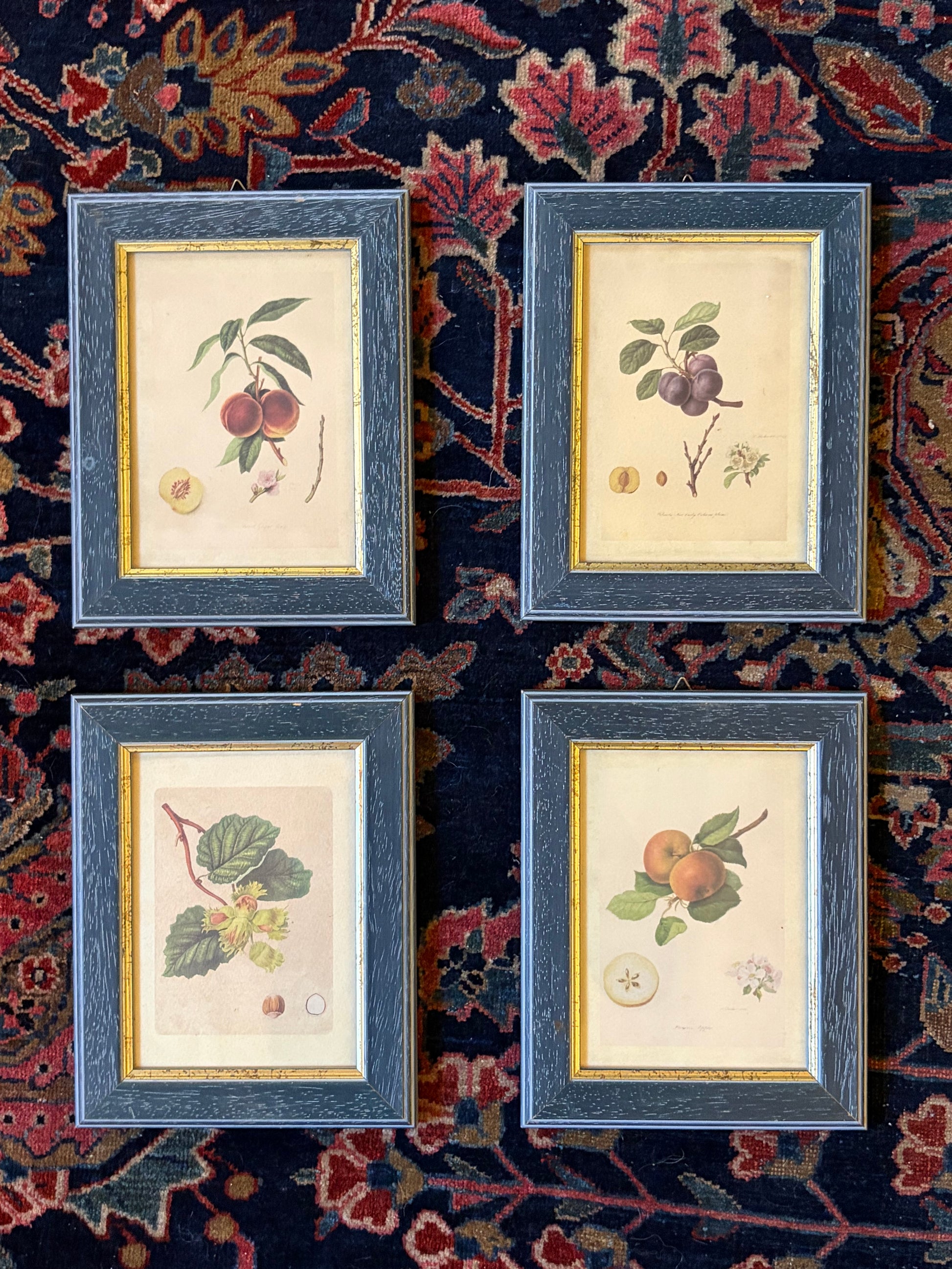 Quatre petites estampes encadrées