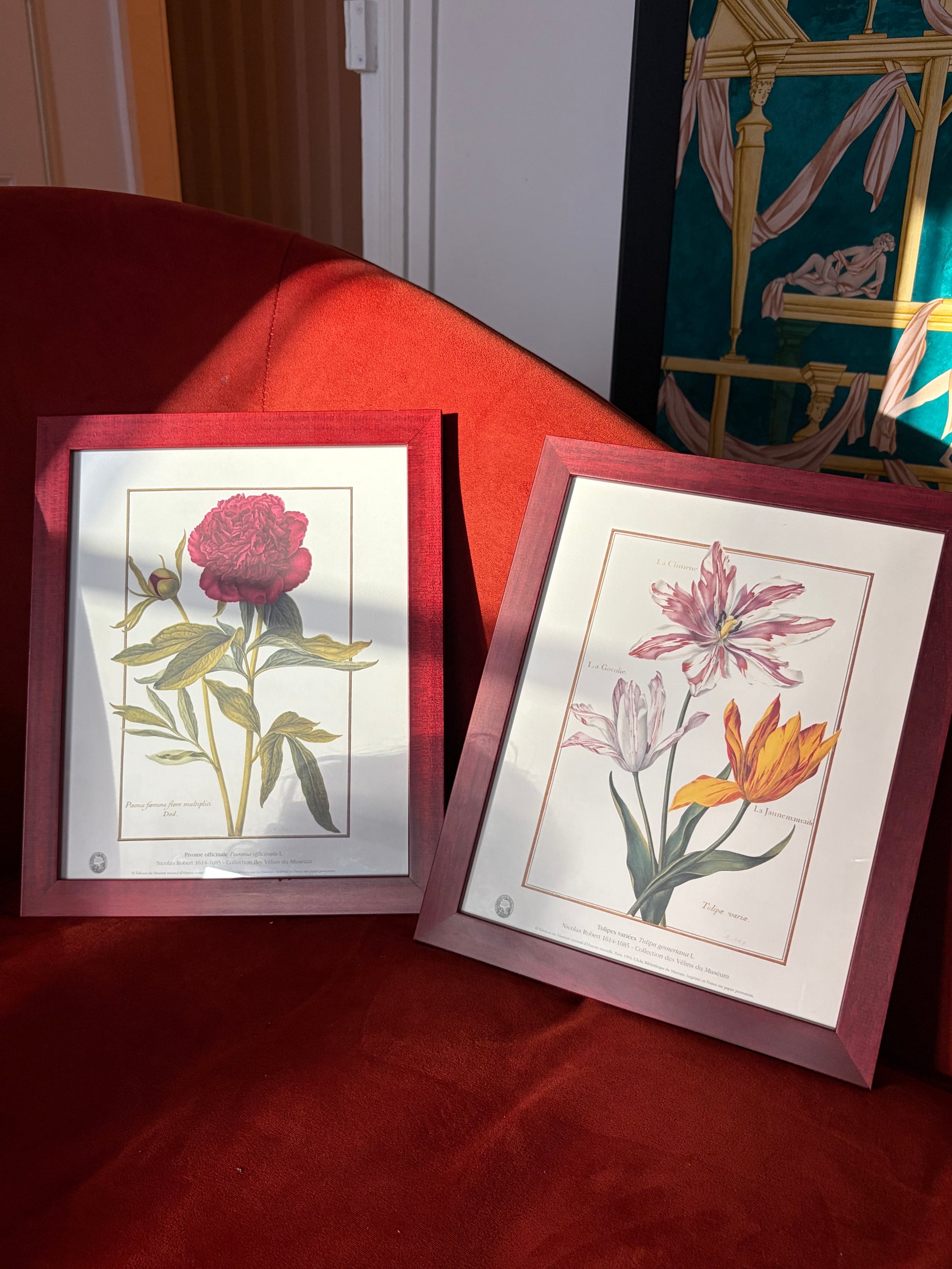 Paire d'estampes botaniques