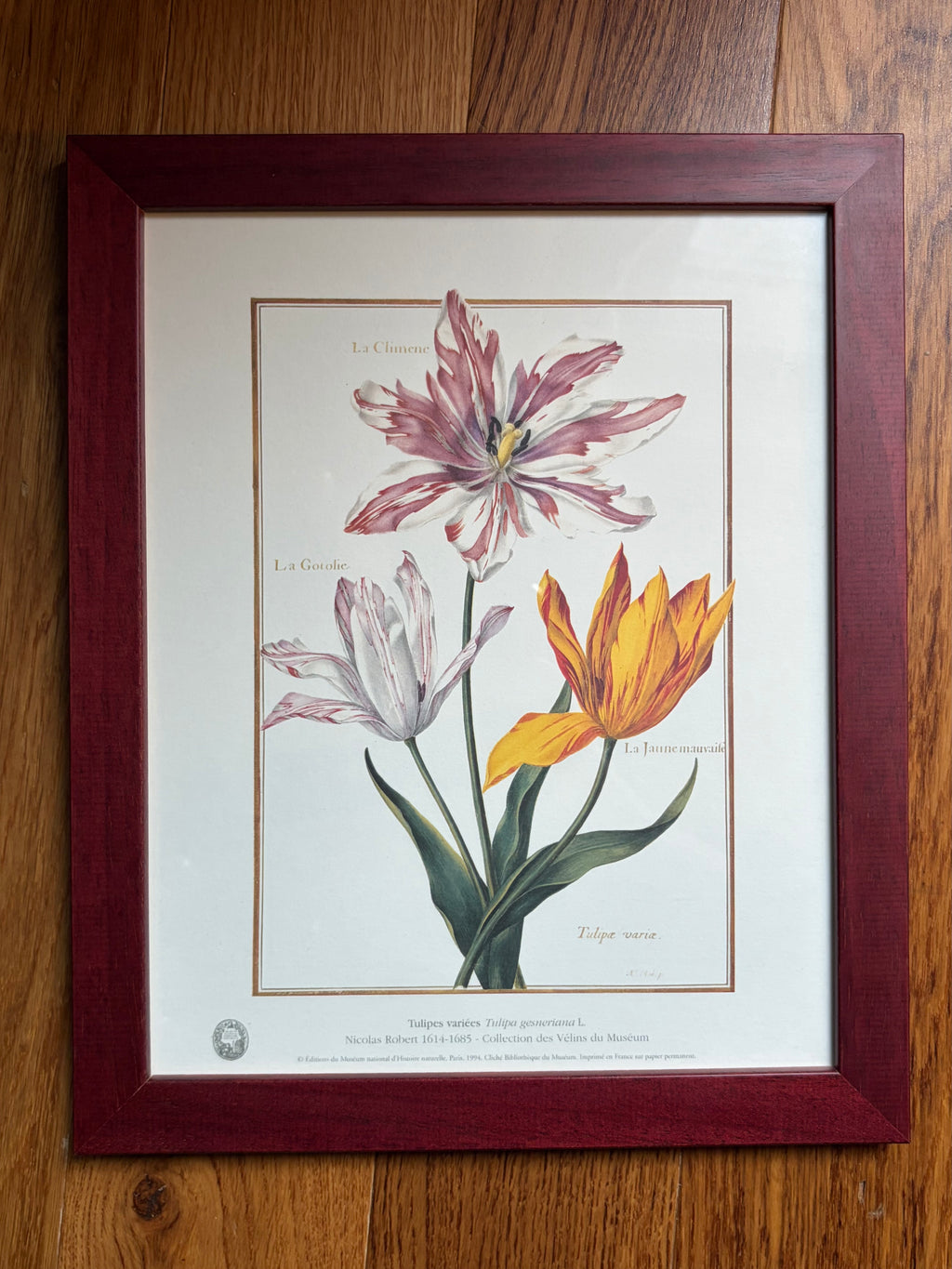 Paire d'estampes botaniques