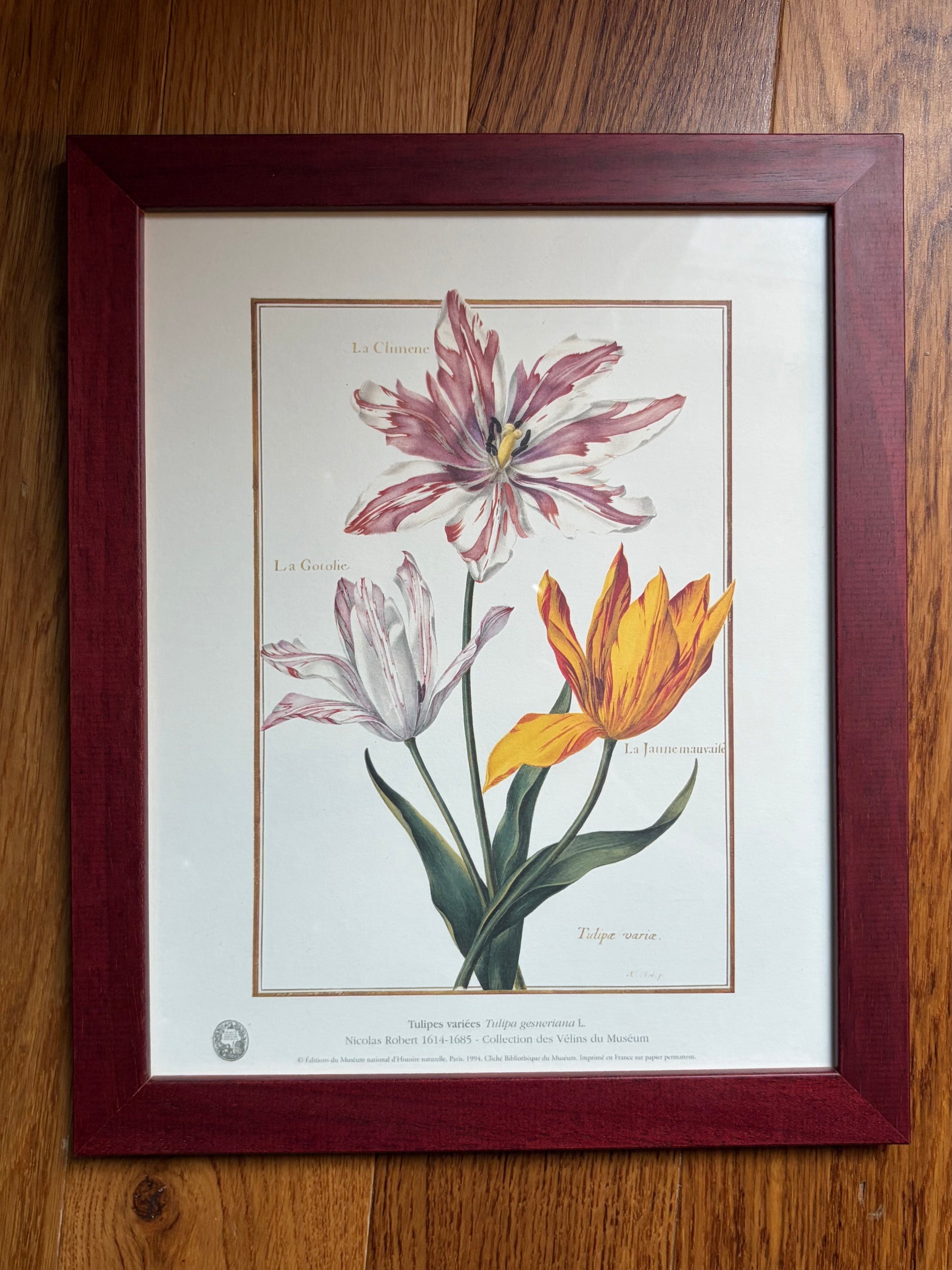 Paire d'estampes botaniques