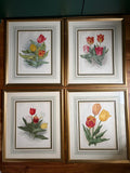 Gravures anglaises